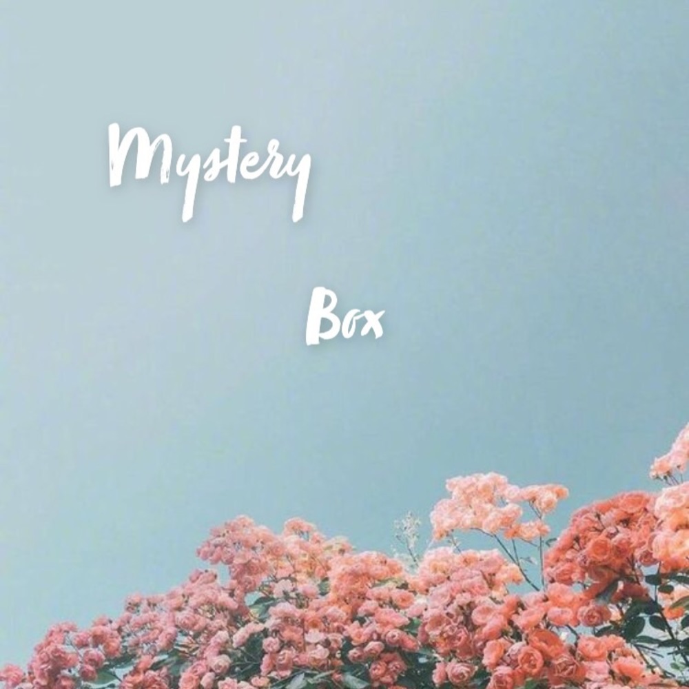 mystery box!